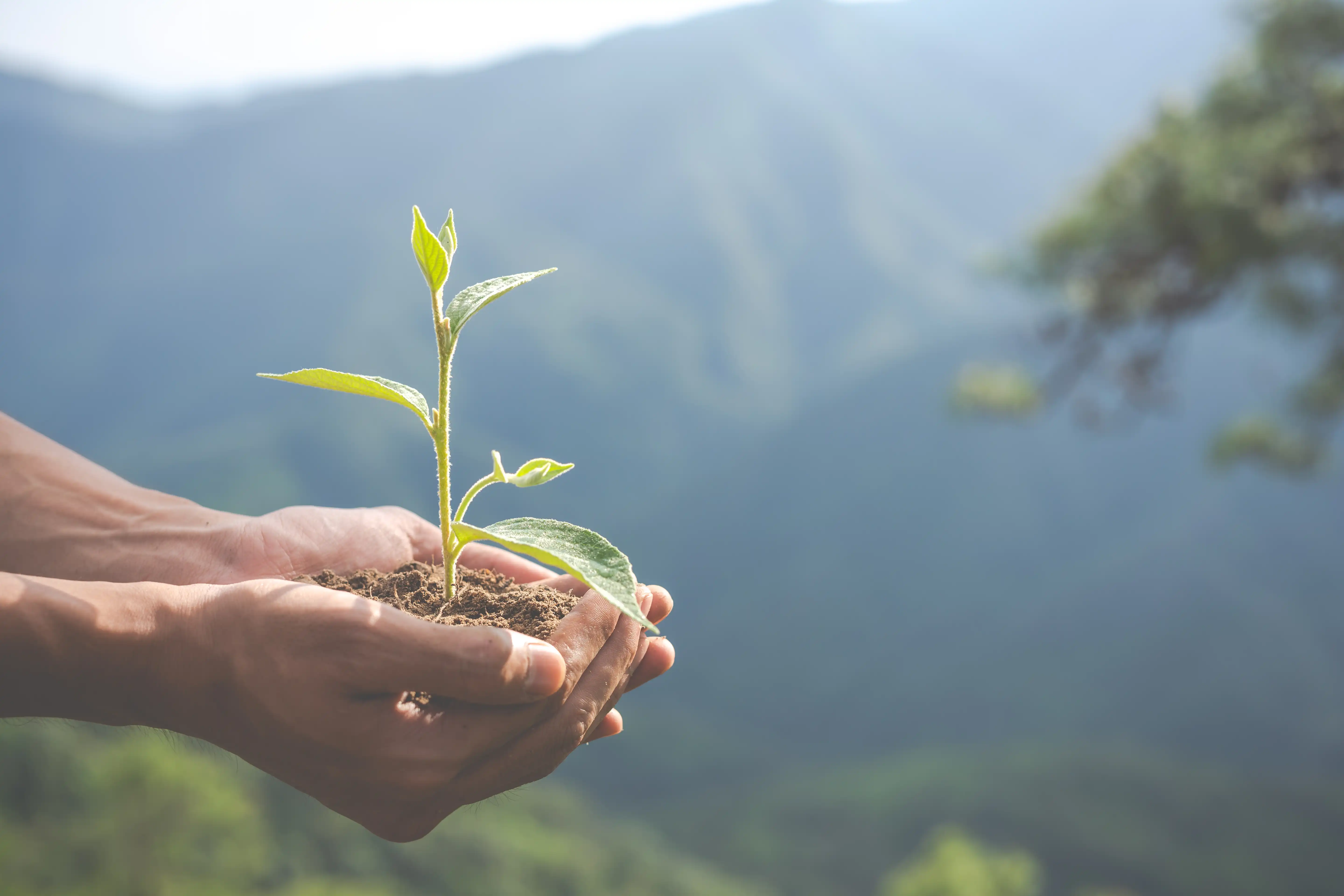 Environmental Commitment